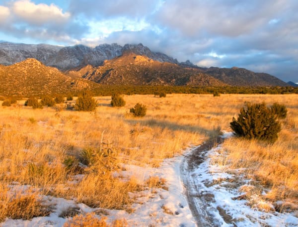 New Mexico Mountain Landscape Photo 360
